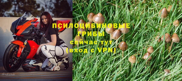 spice Волоколамск