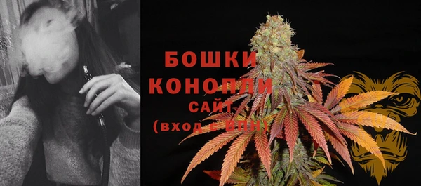 spice Волоколамск