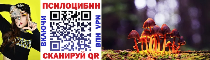 Купить закладки  Боровск  Псилоцибиновые грибы мицелий 